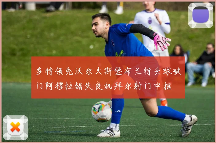 多特领先沃尔夫斯堡布兰特头球破门阿穆拉错失良机拜尔射门中框