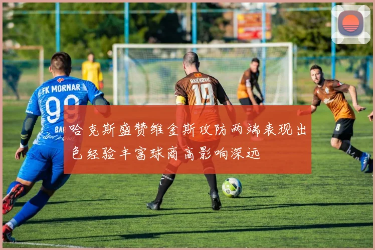 哈克斯盛赞维金斯攻防两端表现出色经验丰富球商高影响深远