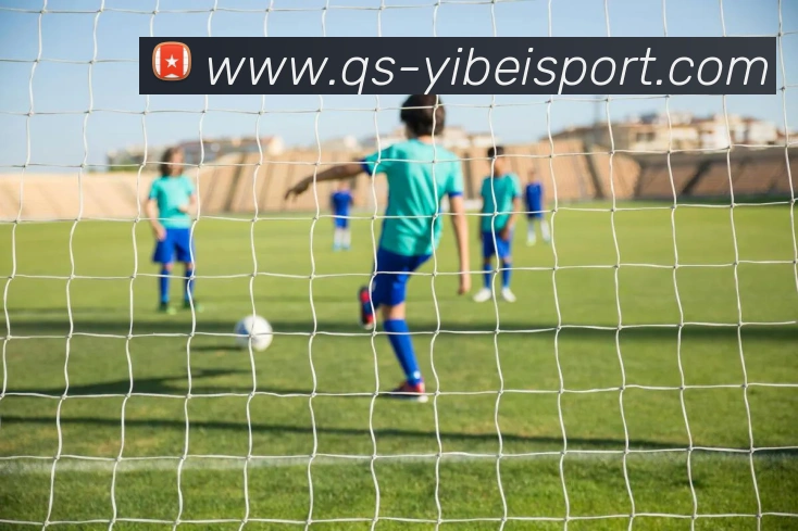 易倍体育服务体系